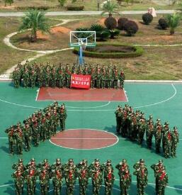 QQ截图20180328142519.jpg